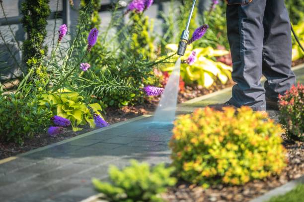 Best Boat and Dock Cleaning  in Norwood, PA